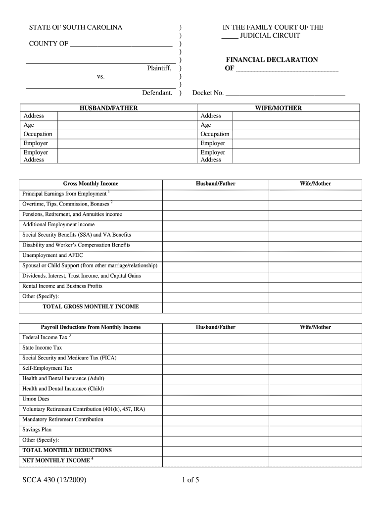 South Carolina Financial Declaration Form 2009-2025